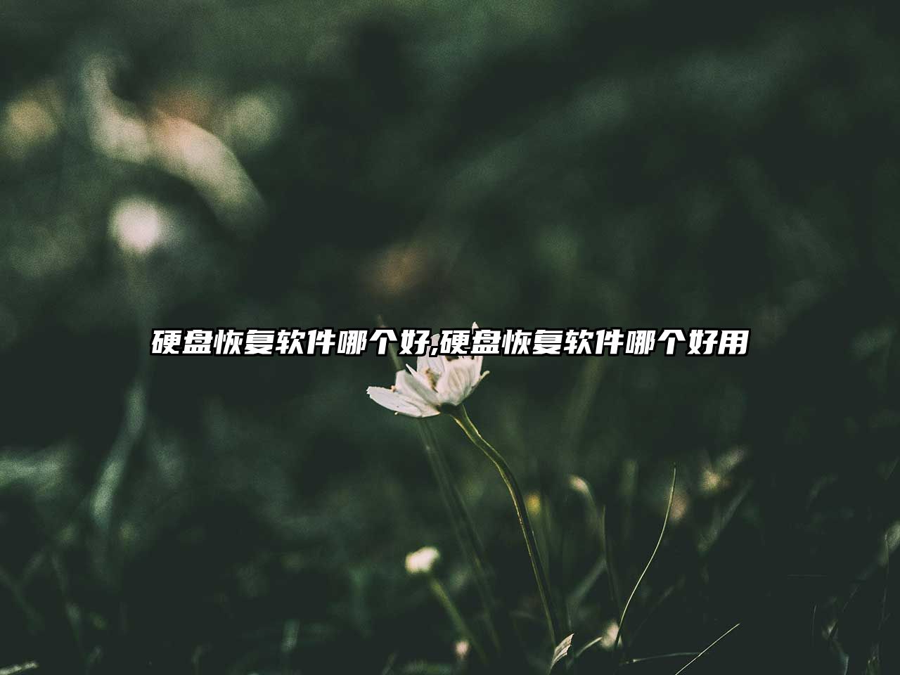 玉翠科技網