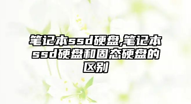 筆記本ssd硬盤,筆記本ssd硬盤和固態硬盤的區別