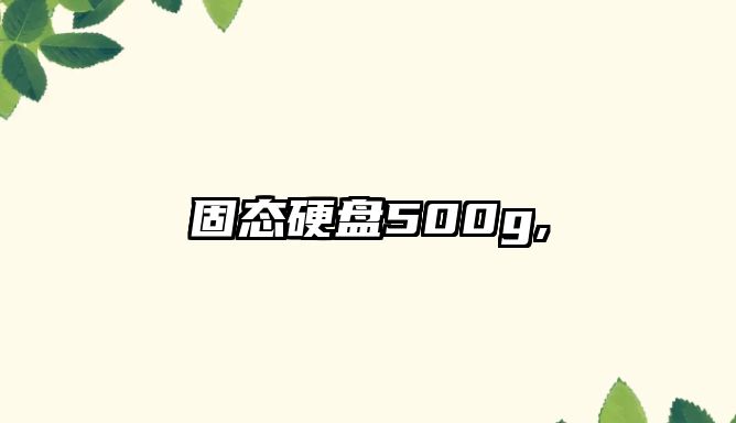 固態硬盤500g,