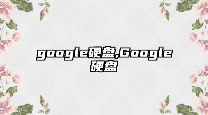 google硬盤,Google硬盤