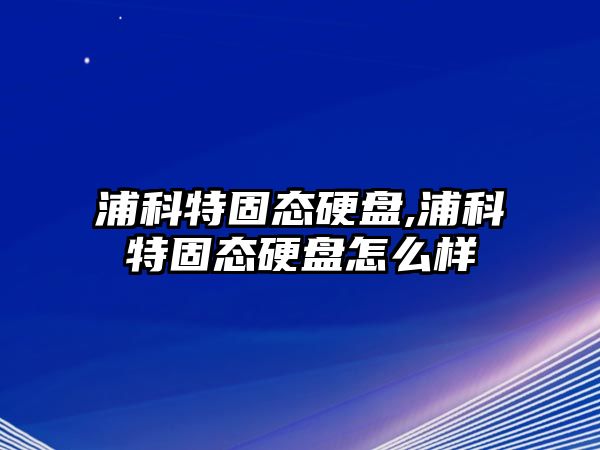 浦科特固態硬盤,浦科特固態硬盤怎么樣