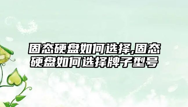 玉翠科技網