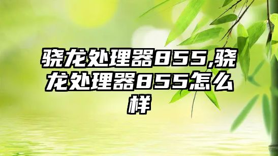 驍龍處理器855,驍龍處理器855怎么樣