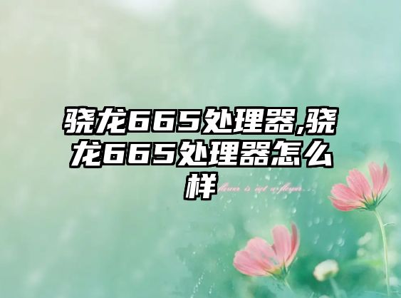 玉翠科技網